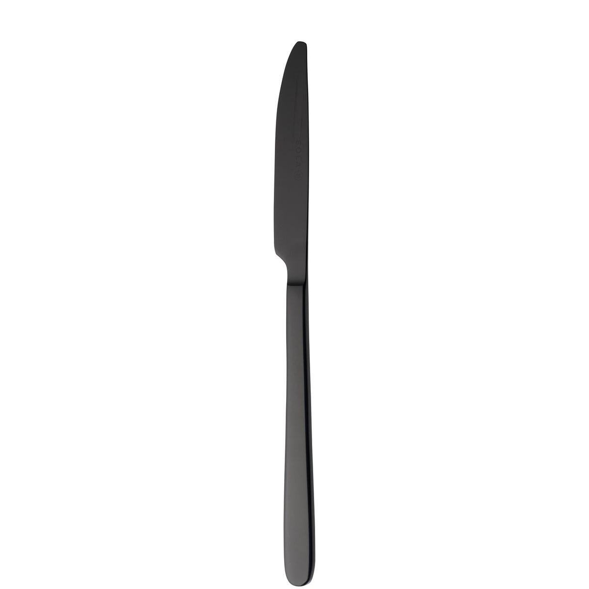 Besteckset 6 Personen 24-teilig Ibiza schwarz PVD